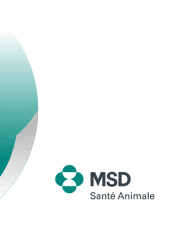 MSD Santé Animale France