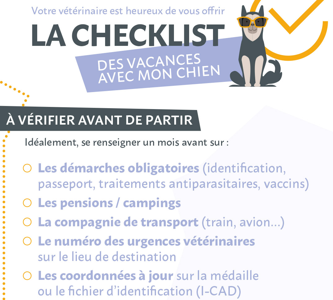 Liste de choses à vérifier avant de partir en vacances avec un chien