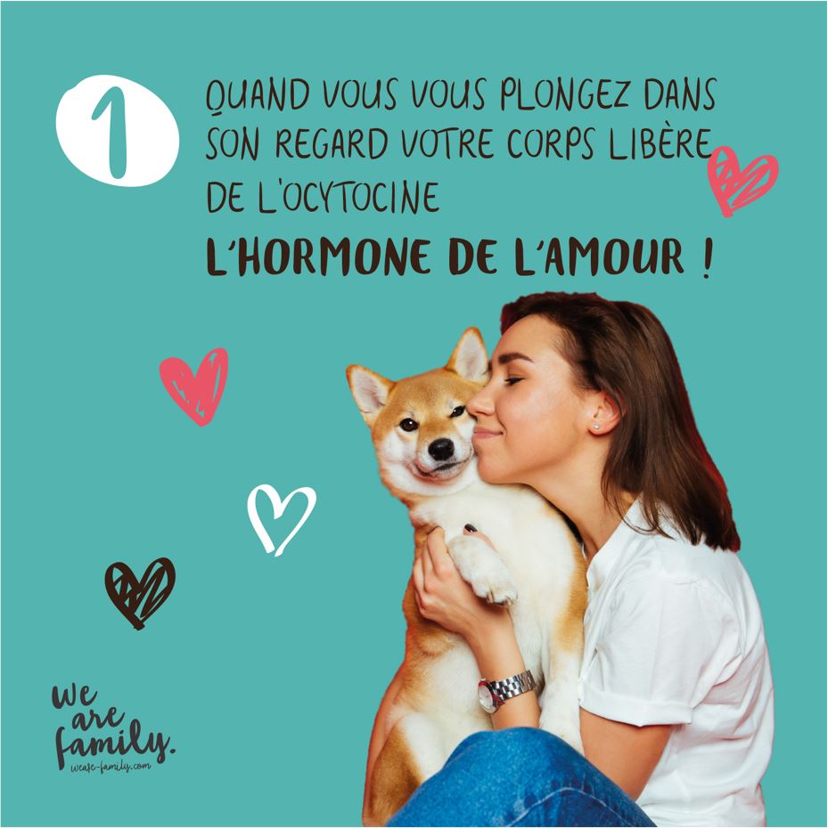 Câlin avec un chien