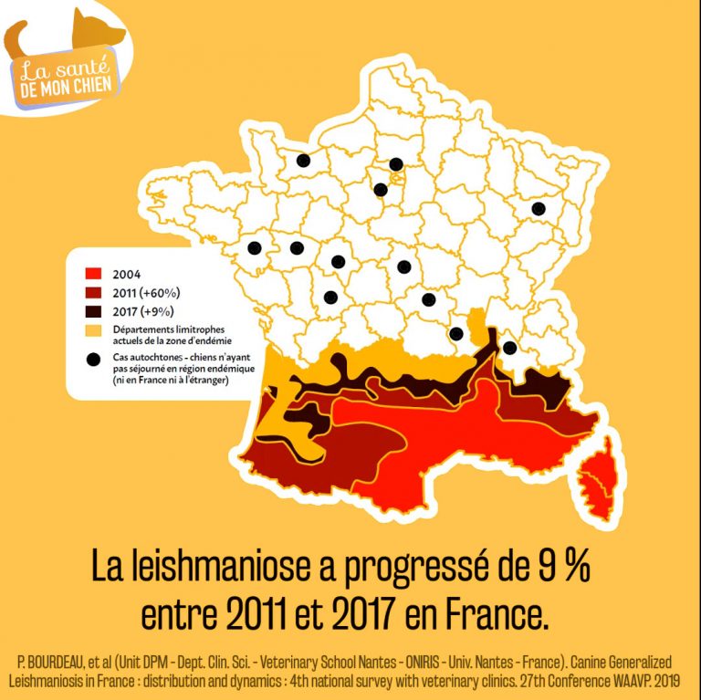 leishmaniose_en_france