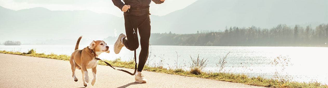 Vous aimeriez faire du sport avec votre chien ? Canicross, caniVTT... On vous explique les questions à se poser avant de se lancer.