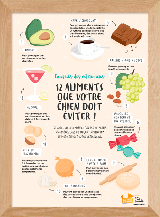 dog food chart