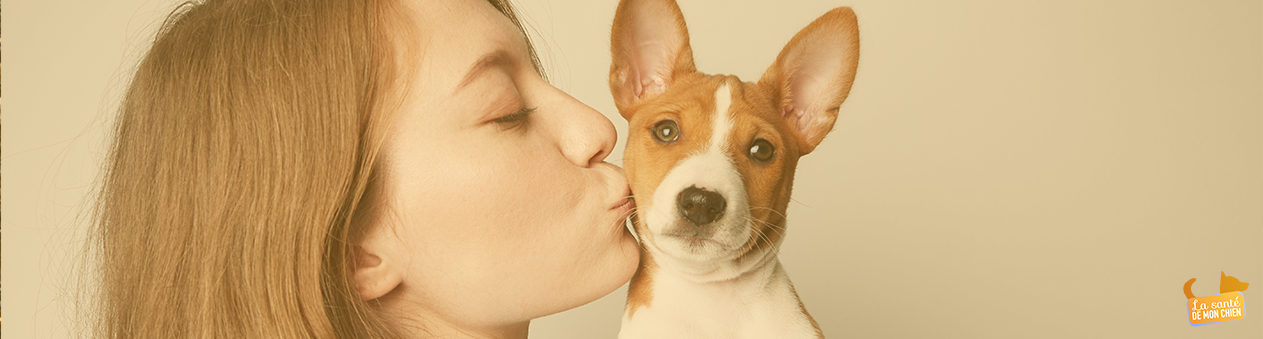 prendre soin de son chien grâce aux conseils de vétérinaires